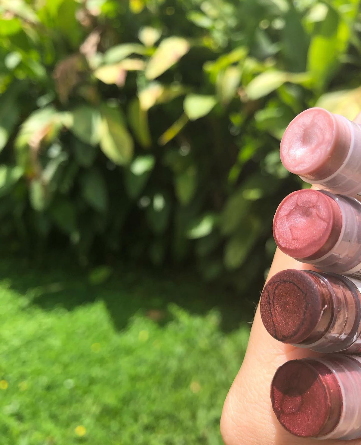 Lipbalm Tint Organics